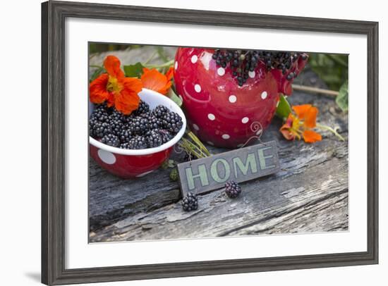 Blackberries and Blossoms, Red and White Dishes, Wooden Bank, Sign, Home-Andrea Haase-Framed Photographic Print