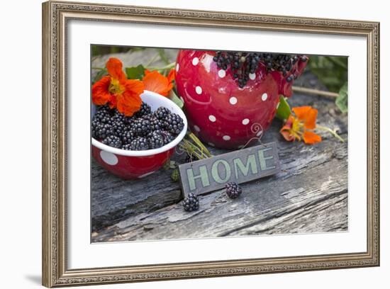 Blackberries and Blossoms, Red and White Dishes, Wooden Bank, Sign, Home-Andrea Haase-Framed Photographic Print