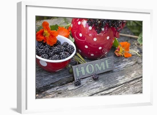 Blackberries and Blossoms, Red and White Dishes, Wooden Bank, Sign, Home-Andrea Haase-Framed Photographic Print