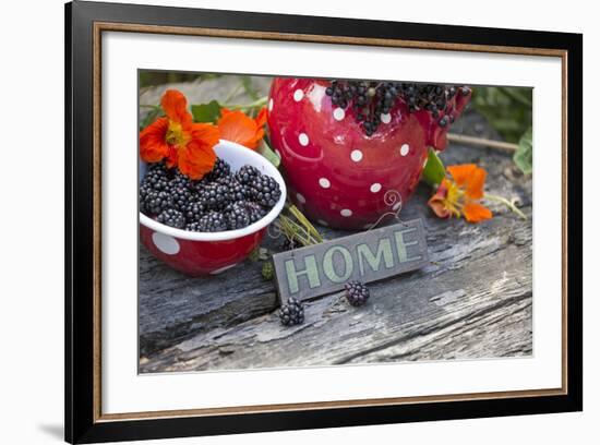 Blackberries and Blossoms, Red and White Dishes, Wooden Bank, Sign, Home-Andrea Haase-Framed Photographic Print