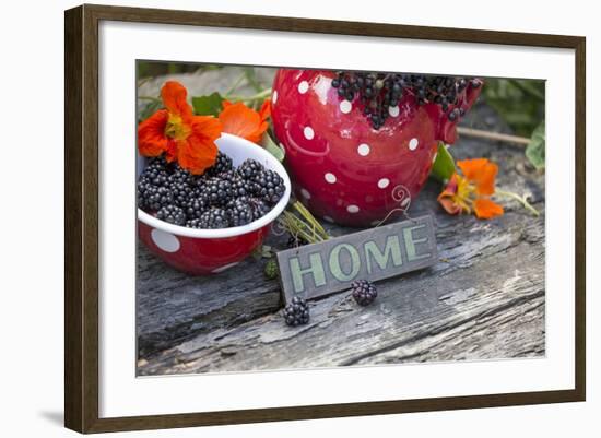 Blackberries and Blossoms, Red and White Dishes, Wooden Bank, Sign, Home-Andrea Haase-Framed Photographic Print