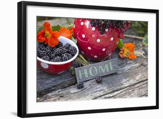 Blackberries and Blossoms, Red and White Dishes, Wooden Bank, Sign, Home-Andrea Haase-Framed Photographic Print