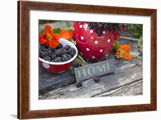 Blackberries and Blossoms, Red and White Dishes, Wooden Bank, Sign, Home-Andrea Haase-Framed Photographic Print