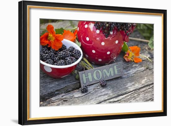 Blackberries and Blossoms, Red and White Dishes, Wooden Bank, Sign, Home-Andrea Haase-Framed Photographic Print