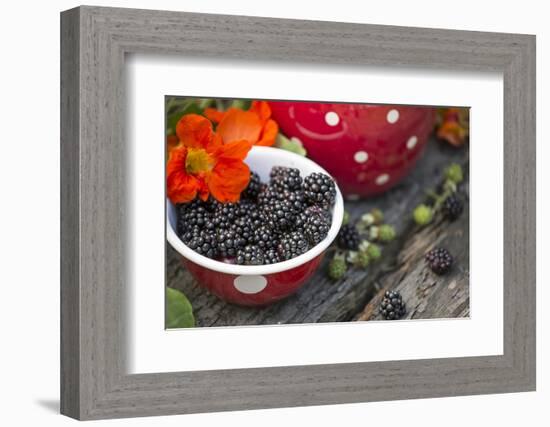 Blackberries and Blossoms, Red-White Dishes, Wooden Bank, Outside, Close-Up-Andrea Haase-Framed Photographic Print