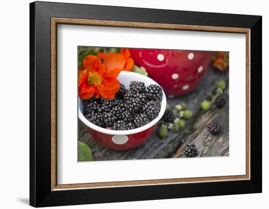 Blackberries and Blossoms, Red-White Dishes, Wooden Bank, Outside, Close-Up-Andrea Haase-Framed Photographic Print