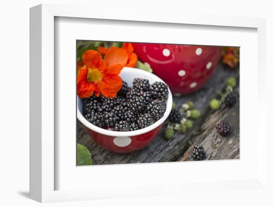 Blackberries and Blossoms, Red-White Dishes, Wooden Bank, Outside, Close-Up-Andrea Haase-Framed Photographic Print