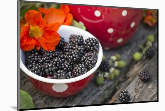 Blackberries and Blossoms, Red-White Dishes, Wooden Bank, Outside, Close-Up-Andrea Haase-Mounted Photographic Print