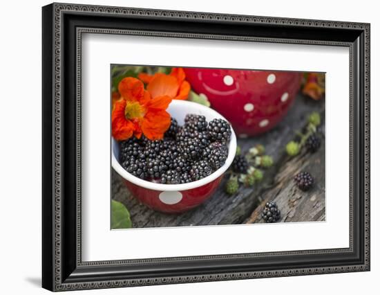Blackberries and Blossoms, Red-White Dishes, Wooden Bank, Outside, Close-Up-Andrea Haase-Framed Photographic Print