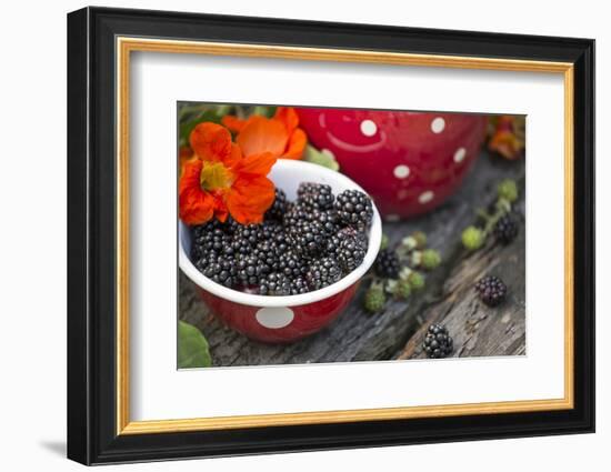 Blackberries and Blossoms, Red-White Dishes, Wooden Bank, Outside, Close-Up-Andrea Haase-Framed Photographic Print