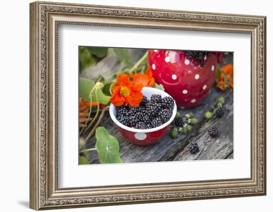 Blackberries and Blossoms, Red-White Dishes, Wooden Bank, Outside, Close-Up-Andrea Haase-Framed Photographic Print