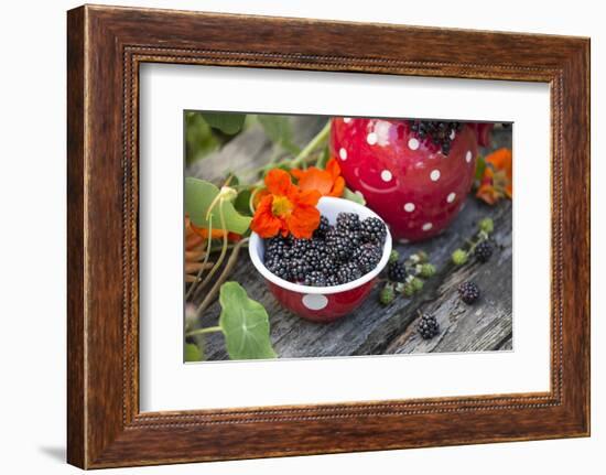 Blackberries and Blossoms, Red-White Dishes, Wooden Bank, Outside, Close-Up-Andrea Haase-Framed Photographic Print