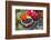 Blackberries and Blossoms, Red-White Dishes, Wooden Bank, Outside, Close-Up-Andrea Haase-Framed Photographic Print