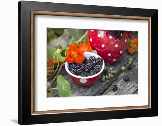 Blackberries and Blossoms, Red-White Dishes, Wooden Bank, Outside, Close-Up-Andrea Haase-Framed Photographic Print