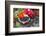 Blackberries and Blossoms, Red-White Dishes, Wooden Bank, Outside, Close-Up-Andrea Haase-Framed Photographic Print