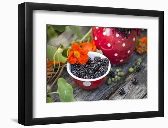 Blackberries and Blossoms, Red-White Dishes, Wooden Bank, Outside, Close-Up-Andrea Haase-Framed Photographic Print