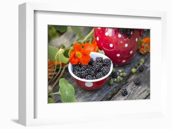 Blackberries and Blossoms, Red-White Dishes, Wooden Bank, Outside, Close-Up-Andrea Haase-Framed Photographic Print