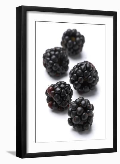 Blackberries-Jon Stokes-Framed Photographic Print