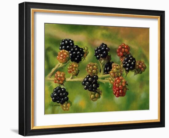 Blackberries-Bill Makinson-Framed Giclee Print