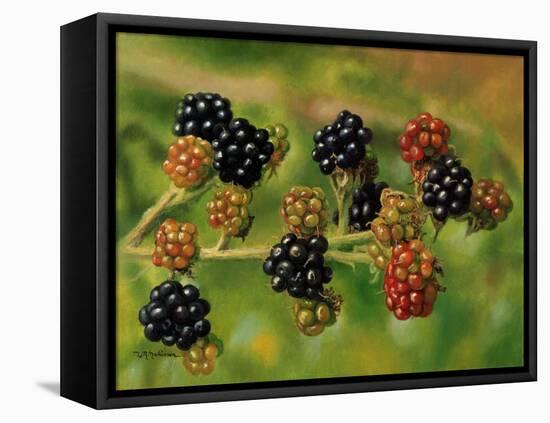 Blackberries-Bill Makinson-Framed Premier Image Canvas