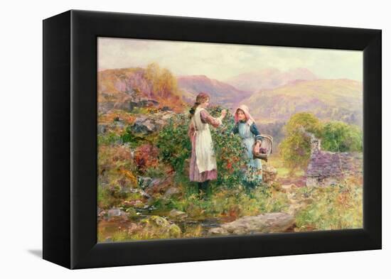 Blackberry Gatherers-Henry John Yeend King-Framed Premier Image Canvas