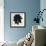 Blackberry III-Sydney Edmunds-Framed Giclee Print displayed on a wall