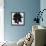 Blackberry III-Sydney Edmunds-Framed Premier Image Canvas displayed on a wall
