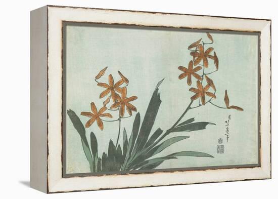 Blackberry Lilies, C. 1832-Katsushika Hokusai-Framed Premier Image Canvas