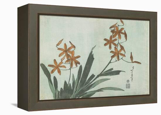 Blackberry Lilies, C. 1832-Katsushika Hokusai-Framed Premier Image Canvas