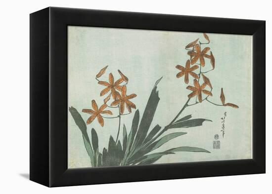 Blackberry Lilies, C. 1832-Katsushika Hokusai-Framed Premier Image Canvas