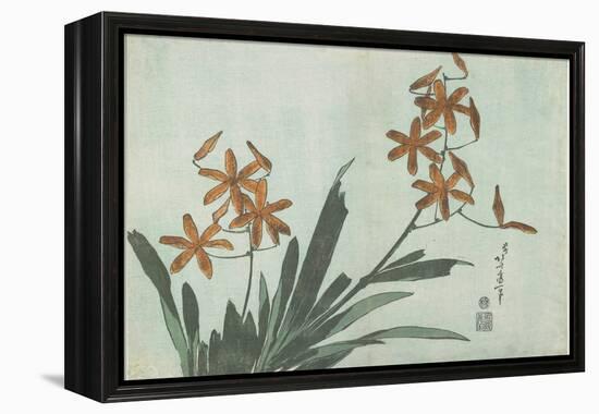 Blackberry Lilies, C. 1832-Katsushika Hokusai-Framed Premier Image Canvas