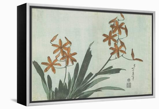 Blackberry Lilies, C. 1832-Katsushika Hokusai-Framed Premier Image Canvas