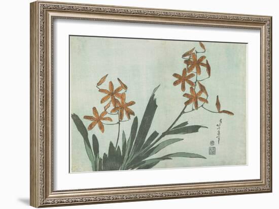 Blackberry Lilies, C. 1832-Katsushika Hokusai-Framed Giclee Print