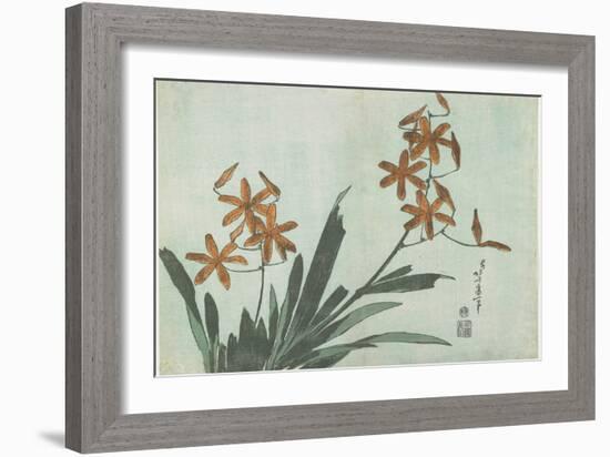 Blackberry Lilies, C. 1832-Katsushika Hokusai-Framed Giclee Print