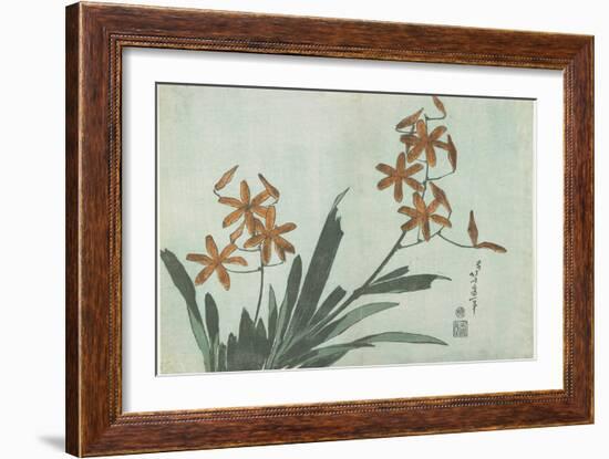 Blackberry Lilies, C. 1832-Katsushika Hokusai-Framed Giclee Print