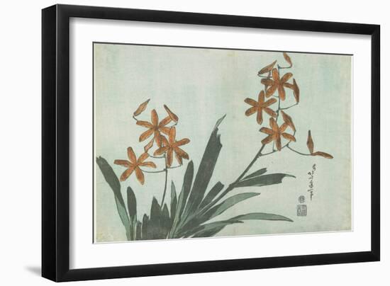 Blackberry Lilies, C. 1832-Katsushika Hokusai-Framed Giclee Print