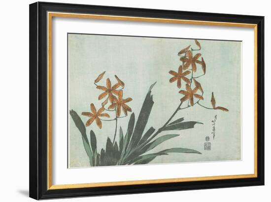 Blackberry Lilies, C. 1832-Katsushika Hokusai-Framed Giclee Print