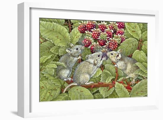 Blackberrying, 1996-Ditz-Framed Giclee Print