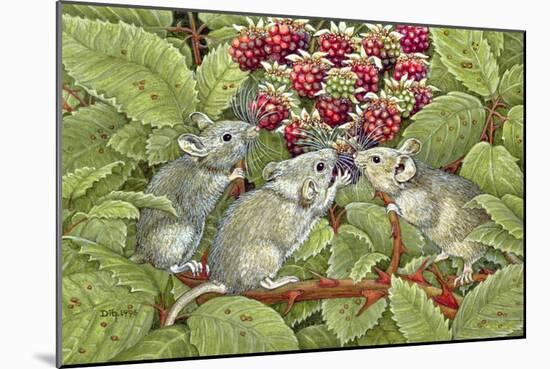 Blackberrying, 1996-Ditz-Mounted Giclee Print