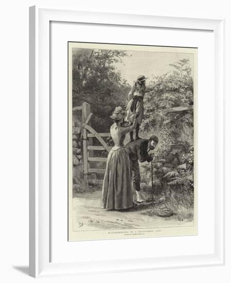 Blackberrying in a Devonshire Lane-Frank Dadd-Framed Giclee Print