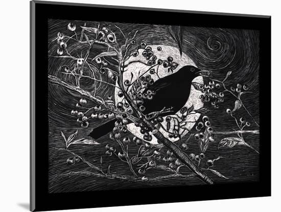 Blackbird, 2023, (Etching)-Helen White-Mounted Giclee Print