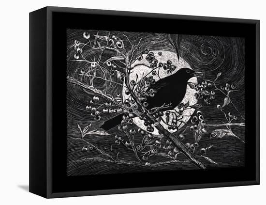 Blackbird, 2023, (Etching)-Helen White-Framed Premier Image Canvas