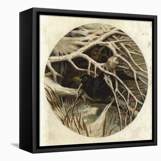 Blackbird and Thrush, in Covert-Harrison William Weir-Framed Premier Image Canvas