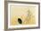 Blackbird, Edo Period-Japanese School-Framed Giclee Print