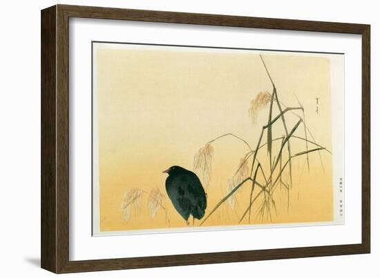 Blackbird, Edo Period-Japanese School-Framed Giclee Print