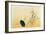 Blackbird, Edo Period-Japanese School-Framed Giclee Print