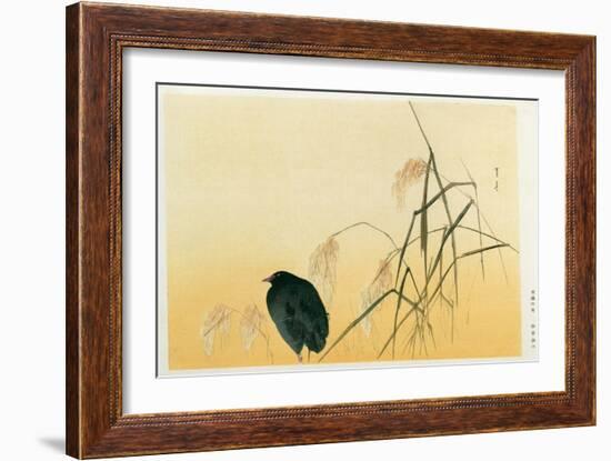 Blackbird, Edo Period-Japanese School-Framed Giclee Print