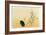 Blackbird, Edo Period-Japanese School-Framed Giclee Print