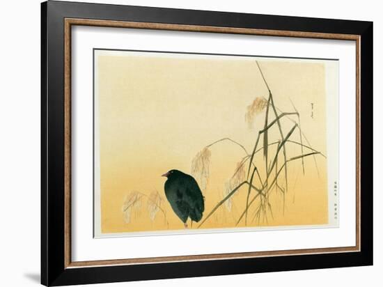 Blackbird, Edo Period-Japanese School-Framed Giclee Print