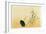 Blackbird, Edo Period-Japanese School-Framed Giclee Print